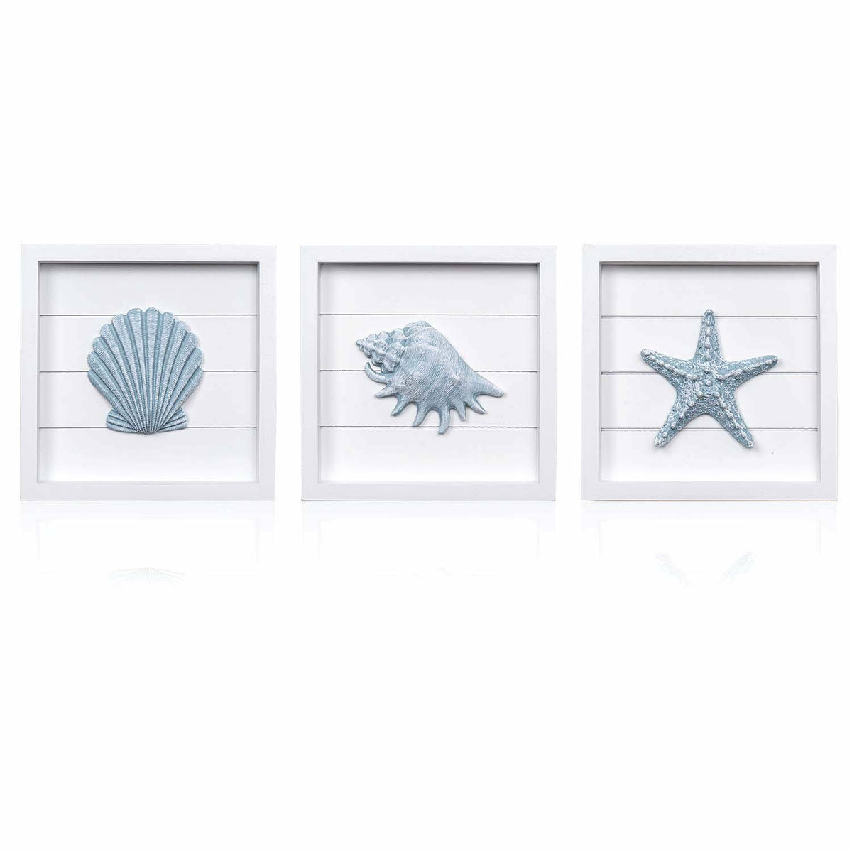 Seashells Wall Decoration Set – TIDE AND TALES