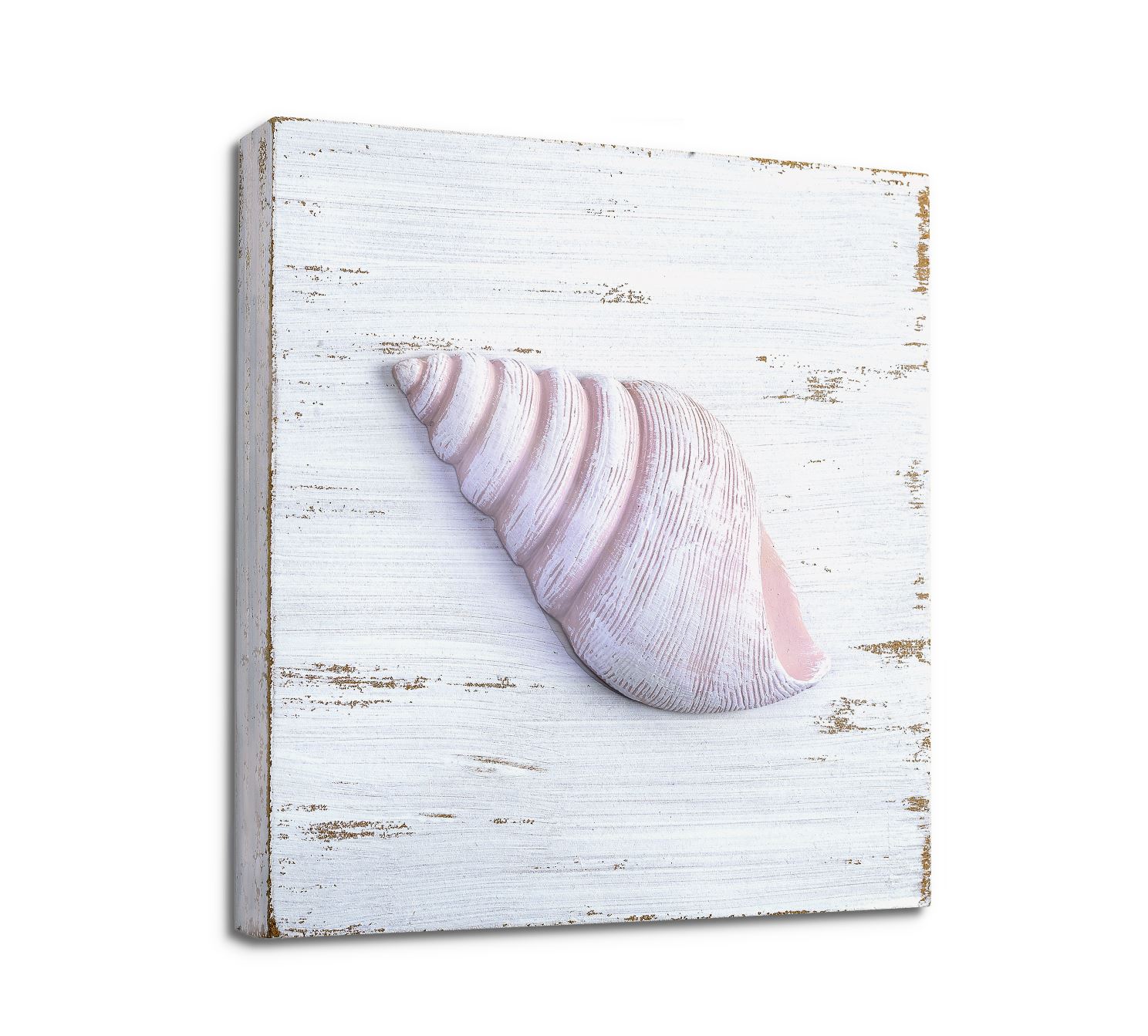 Seashell Wall Decoration Set TIDE AND TALES