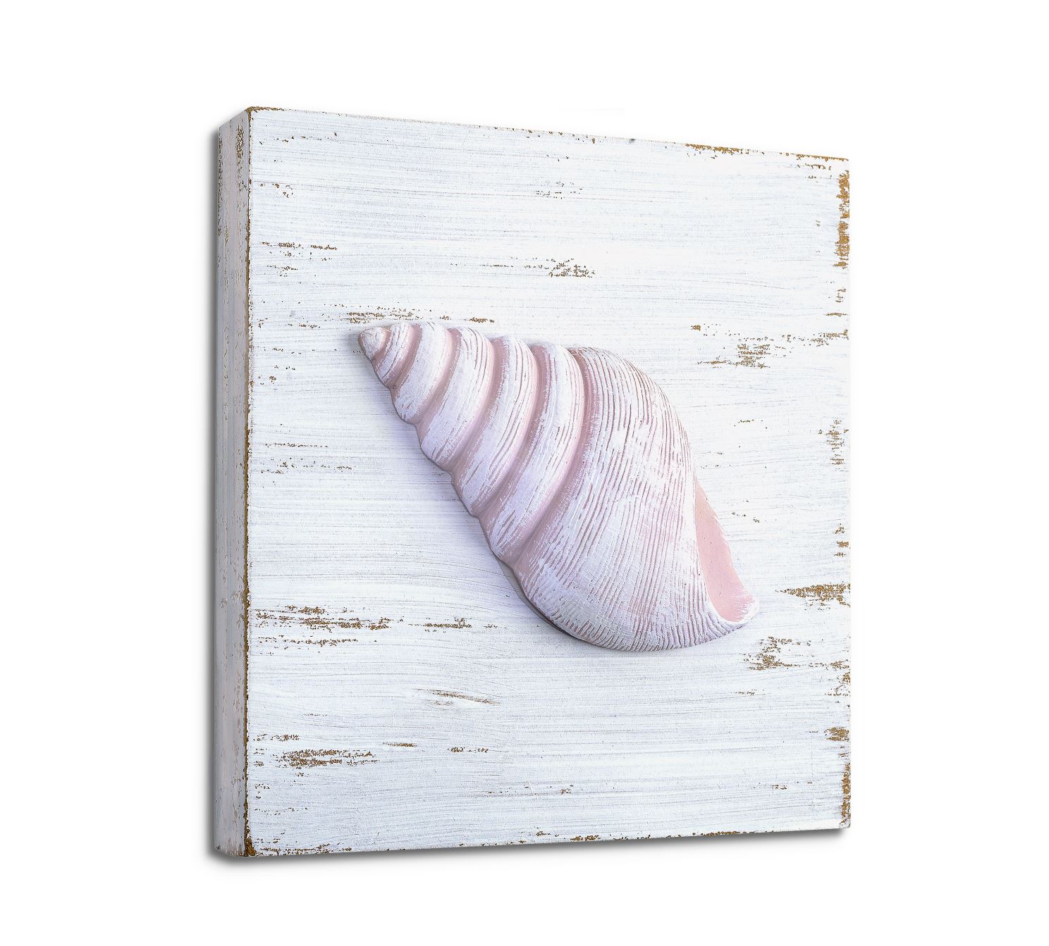 Rustic Seashells Seashell wall decoration set – TIDE AND TALES