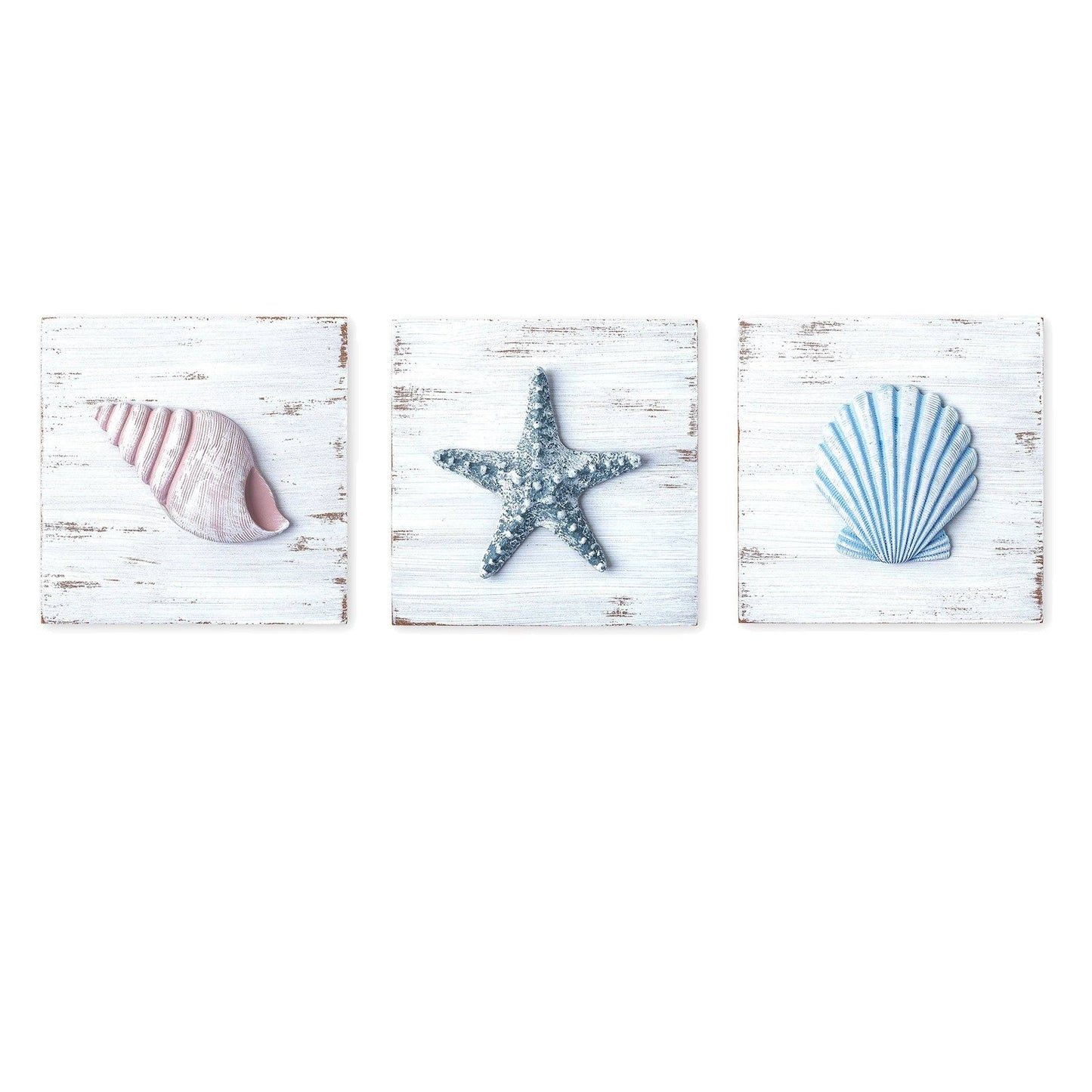 Seashell Wall Decoration Set TIDE AND TALES