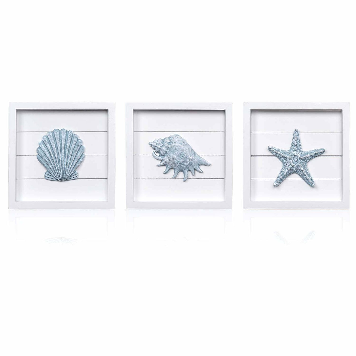 Seashells Wall Decoration Set TIDE AND TALES